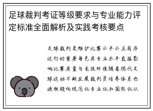 足球裁判考证等级要求与专业能力评定标准全面解析及实践考核要点